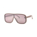 Retro Sunglasses #24