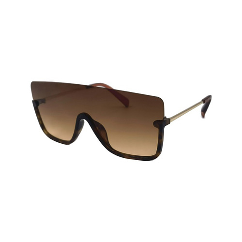 Contemporary Sunglasses #42