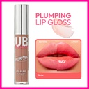 Plumping Lip Gloss